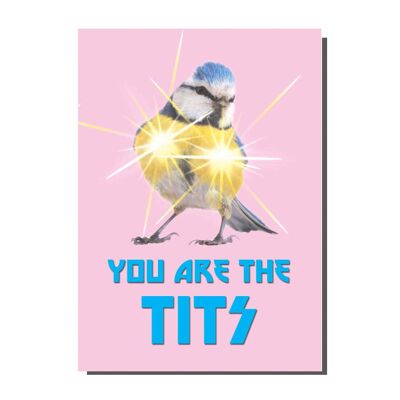 Carte You Are The Tits (pack de 6)