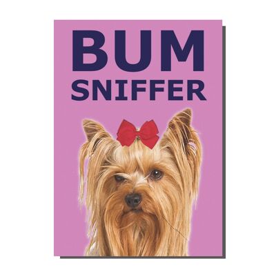 Bum Sniffer Card  (pack of 6)