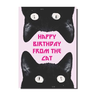 Joyeux anniversaire du chat carte (lot de 6)