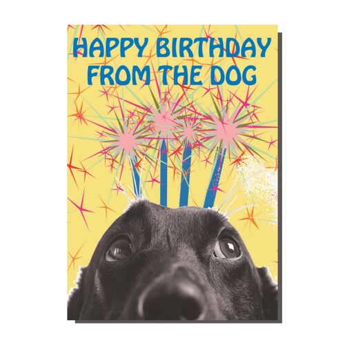 Happy Birthday From The Dog Card (pack of 6)