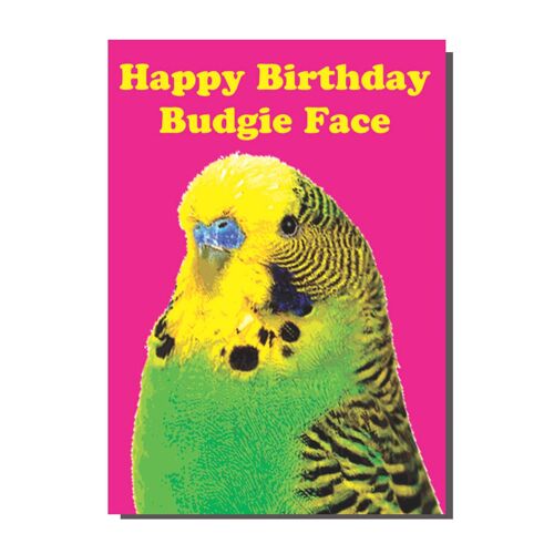 Happy Birthday Budgie Face Card (pack of 6)