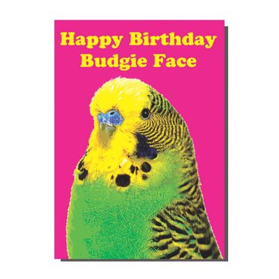 Carte Happy Birthday Budgie Face (paquet de 6)