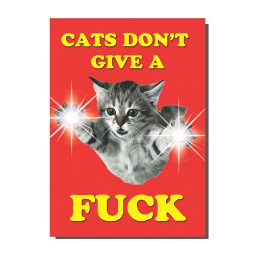 Cats Card  (pack of 6)