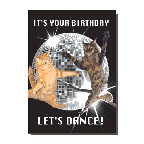 It's Your Birthday Let's Dance Cat Card  (pack of 6)