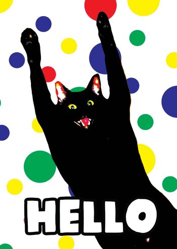 Carte Crazy Hello Cat (lot de 6) 2