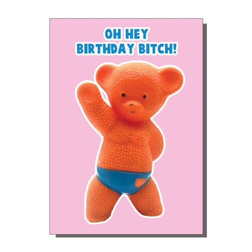Birthday Bitch Greetings Card (pack of 6)