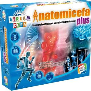 Jeu éducatif et scientifique. ANATOMYCEFA PLUS