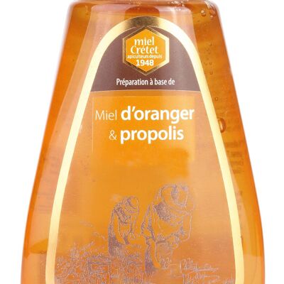 Squeezer Orange honey and propolis 250g