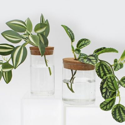 Cork vases set of 2 | Hydrovases