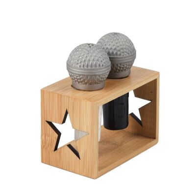 Microphone Salt & Pepper Shakers