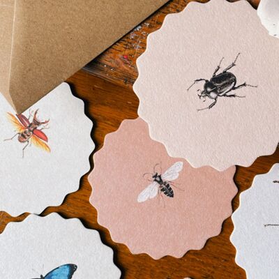 Coasters Insects