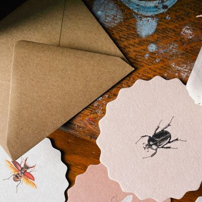 Coasters Insects