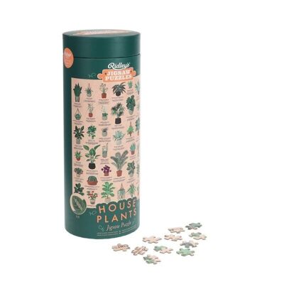 Puzzle 1000 pièces « Plantes d'intérieur » de Ridley