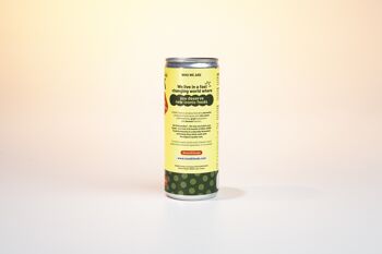 ICONIK Foods Kombucha - Ginger Lemongrass (Sans-alcool - Bio - Français - Sans gluten - Faible en sucres) 4