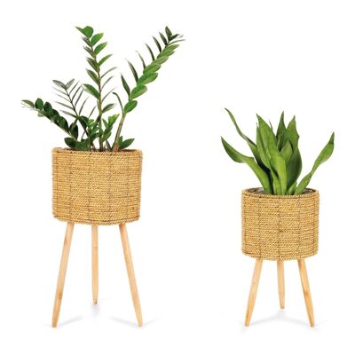 Set of 2 reed foot planters