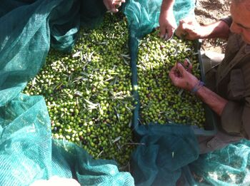 Huile d'olive extra vierge biologique Mantenera, bidon de 3 l 3