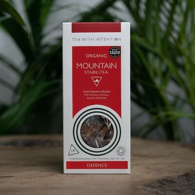 Organic Mountain Stabilitea / 14 biologisch abbaubare Pyramiden