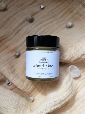 Cloud Nine Beurre pour le visage Pot en verre de 30 ml