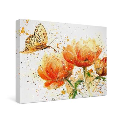 Apricot Dream Canvas Cutie