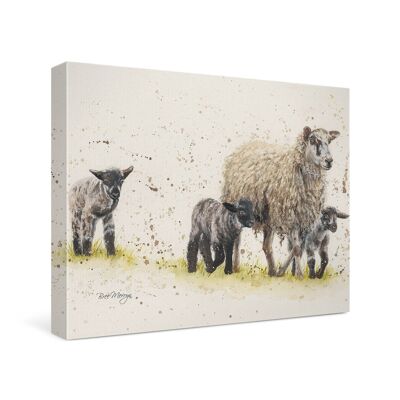 Behind Ewe Canvas Cutie