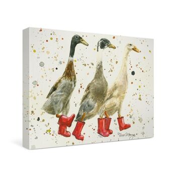 Les Trois Duckgrees in Boots Canvas Cutie 2
