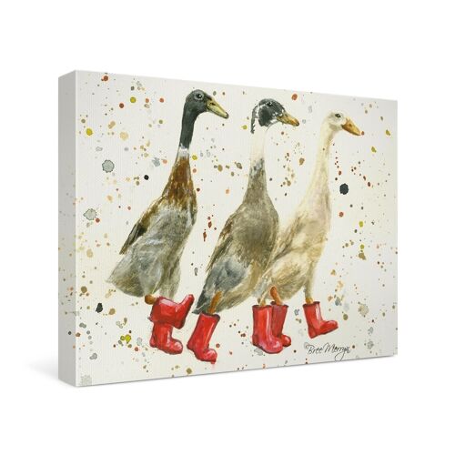 The Three Duckgrees in Boots Canvas Cutie