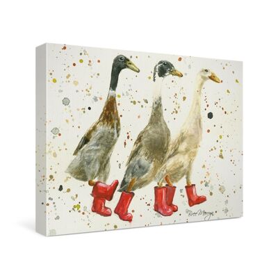Les Trois Duckgrees in Boots Canvas Cutie