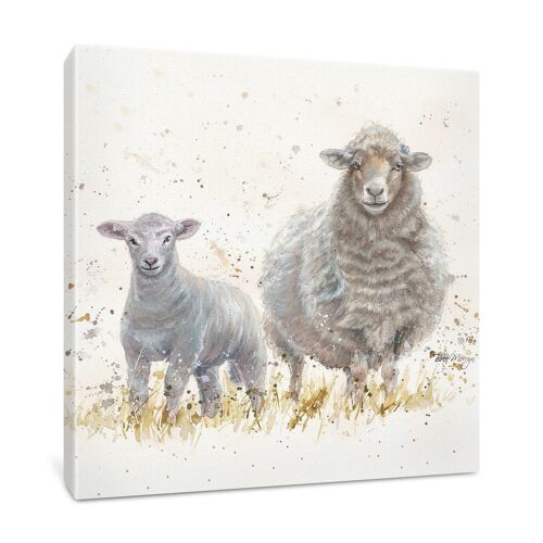 Ewe Beauties Medium Box Canvas