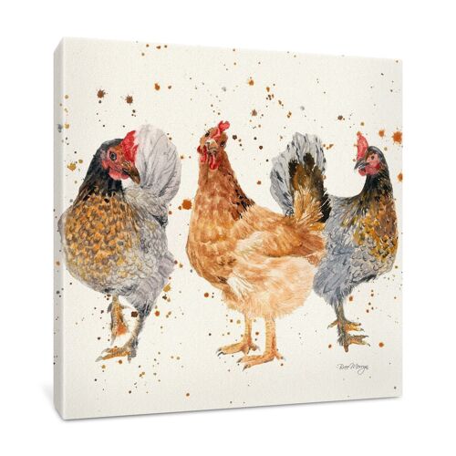 The Hen Party Medium Box Canvas