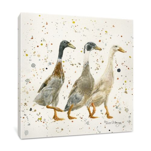 The Three Duckgrees Medium Box Canvas