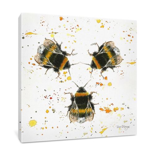 Three Bees Medium Box Canvas