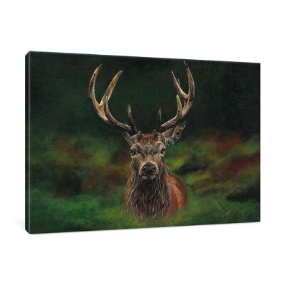 Scott Large Box Canvas