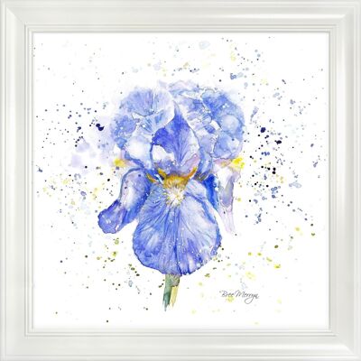 Blue Iris Midi Framed Print - White