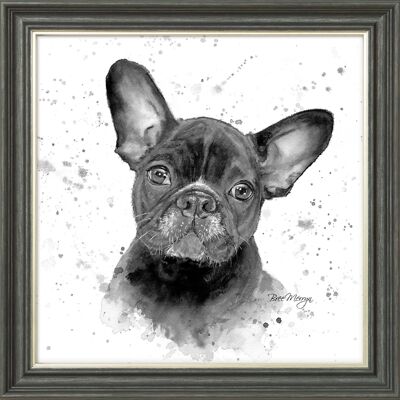 Fifi B&W Midi Framed Print - Graphite