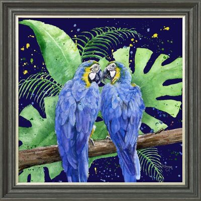 Patsy and Pablo Blue Midi Framed Print - Graphite