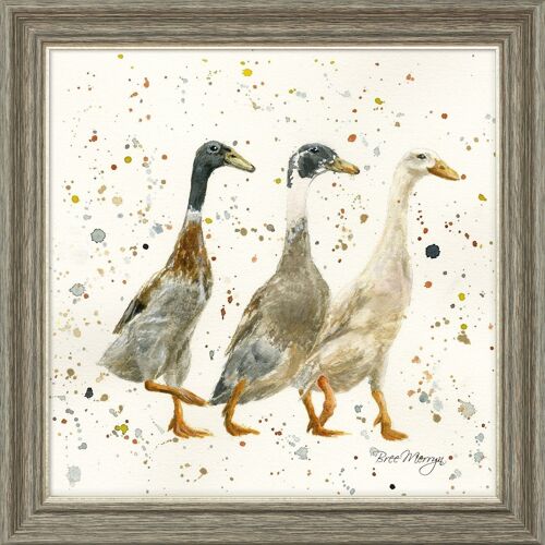 The Three Duckgrees Midi Framed Print - Walnut