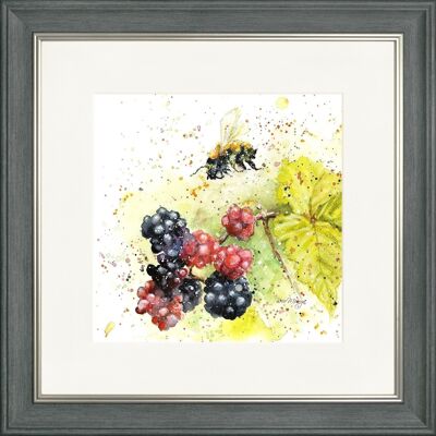 Blackberry Bee Classic Framed Print - Charcoal