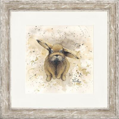 Colourful Benji Classic Framed Print - Distressed