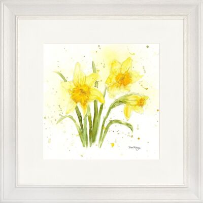 Daffodils Classic Framed Print - Off White