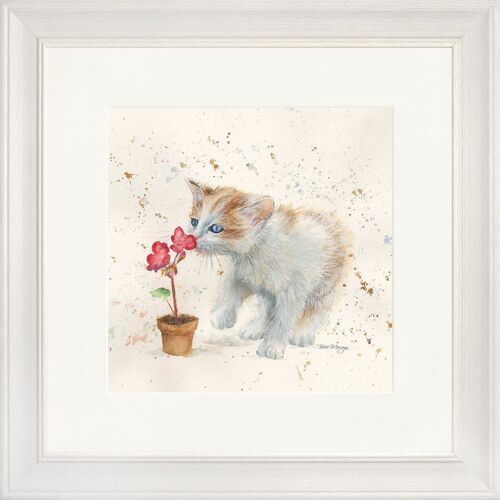 Fizz Classic Framed Print - Off White