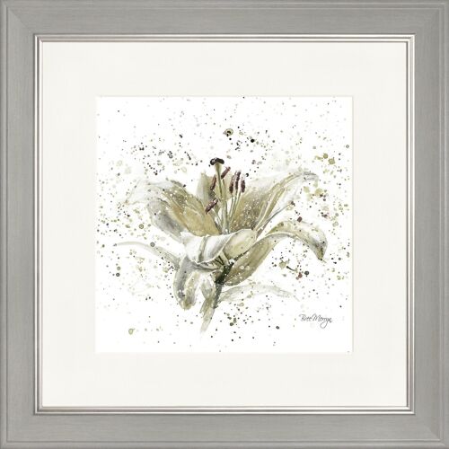 Grey Lily Classic Framed Print - Grey