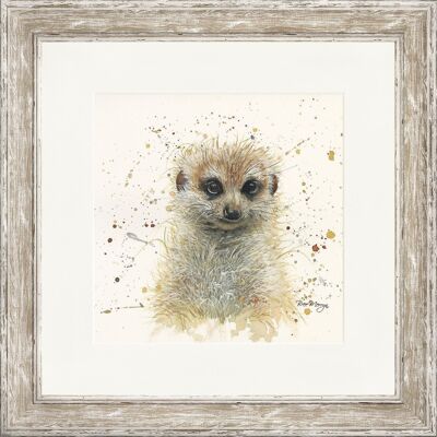 Maurice Classic Framed Print - Distressed
