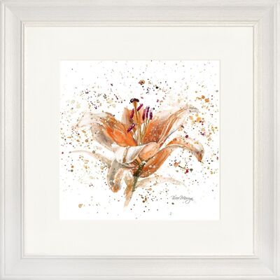Orange Lily Classic Framed Print - Off White