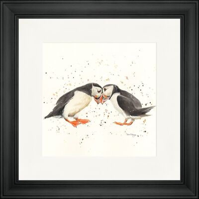 Puffin Passion Classic Framed Print - Black