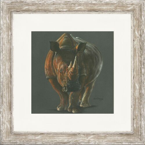 Rocco Grey Classic Framed Print - Distressed