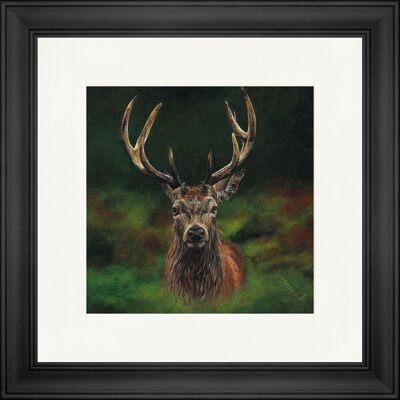 Scott Classic Framed Print - Black