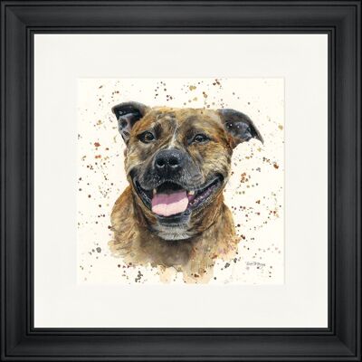 Scout Classic Framed Print - Black