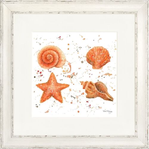 Shells Classic Framed Print - Antique Taupe