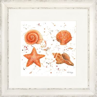 Shells Classic Framed Print - Antique Taupe