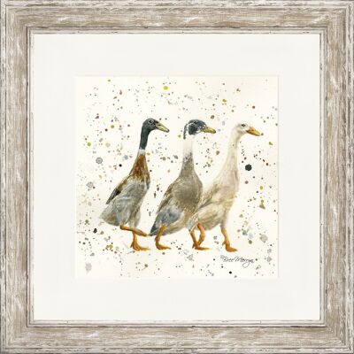 The Three Duckgrees Classic Frame Print - Distressed